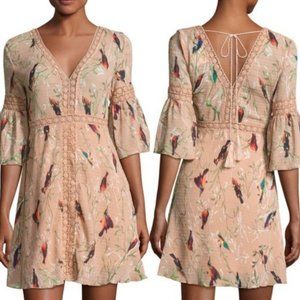 Foxiedox Hummingbird Print Dress